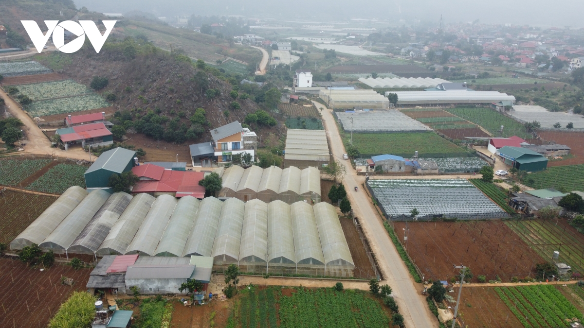 Sản xuất nông nghiệp ứng phó với thiên tai ở Sơn La